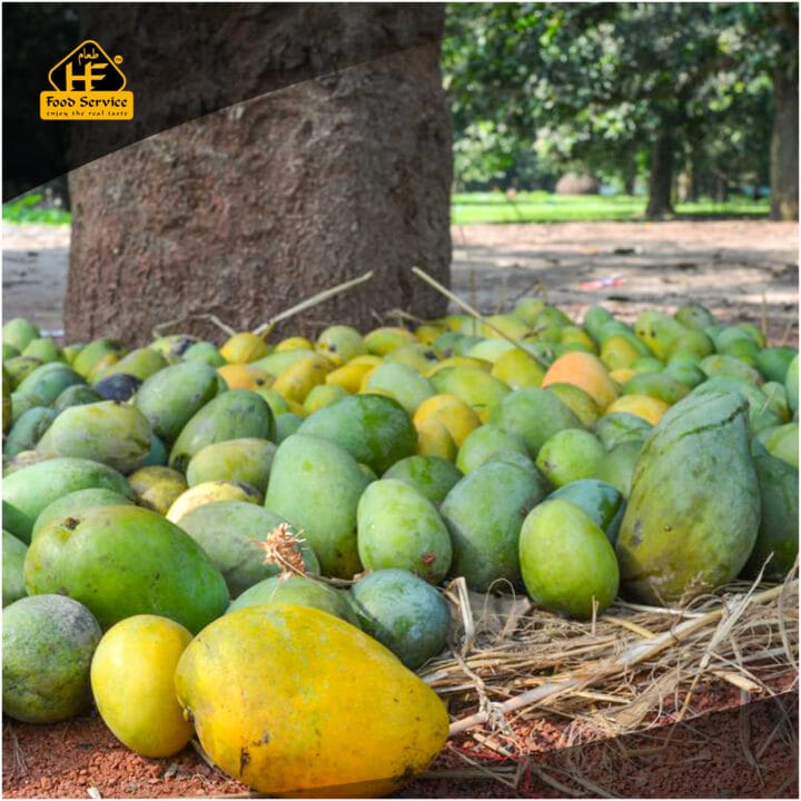 হিমসাগর আম । Himsagar Mango - Image 5