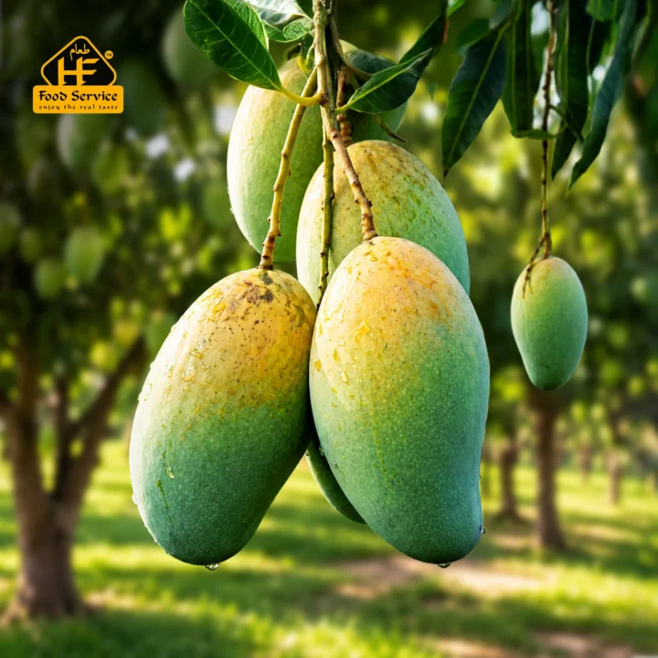 Amrapali Mango | আম্রপালি আম